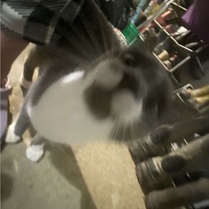 Meet your Posher, Cara